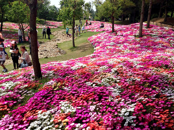 淡路島国営明石海峡公園でドネルケバブ販売